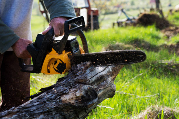 Best Emergency Tree Removal  in Waxahachie, TX